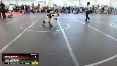 88 lbs Round 3 (10 Team) - Aiden Hensley, Wrestling Mill vs Luca Seramone, Team Diamond Fish