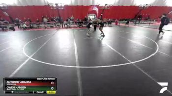 182 lbs 3rd Place Match - Owen Hansen, Wrestling Factory vs Anthony Aranda, Wisconsin