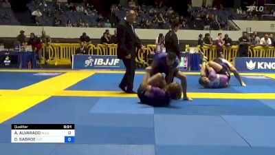 ANDRES ALVARADO vs OWEN SABROE 2022 World IBJJF Jiu-Jitsu No-Gi Championship