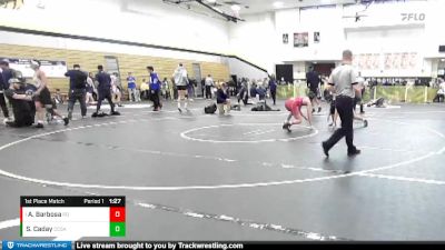 145 lbs 1st Place Match - Andrew Barbosa, Palm Desert vs Steve Caday, Calvary Chapel SA