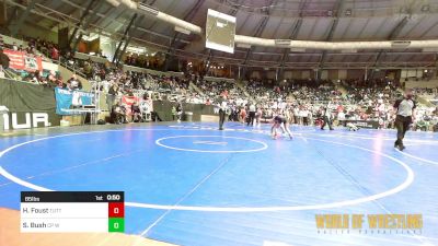 85 lbs Quarterfinal - Hattie Foust, Tuttle Elite Wrestling Club vs Scarlett Bush, CP Wrestling