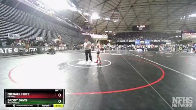 2A 113 lbs Quarterfinal - Brody Davis, Washougal vs Michael Fritz, Orting