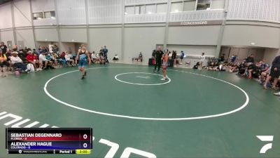 126 lbs 4th Wrestleback (16 Team) - Sebastian Degennaro, Florida vs Alexander Hague, Colorado