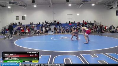 165 lbs Cons. Round 4 - Jared Gumila, North Central College vs Bilal Vasty, North Central College