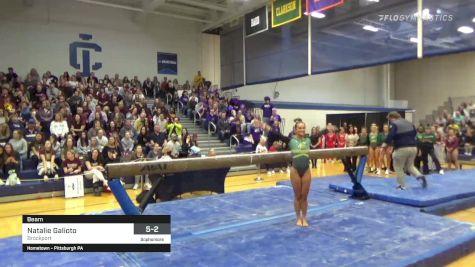 Natalie Galioto - Beam, Brockport - 2022 NCGA Championships