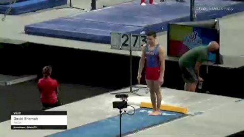 David Shamah - Vault, WOGA - 2021 US Championships