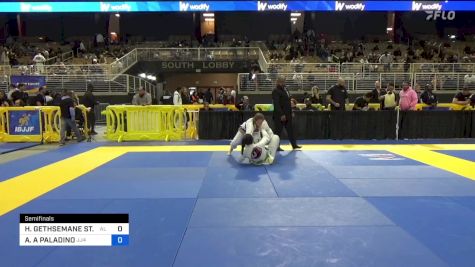 HOLLIE GETHSEMANE ST. CLAIRE vs ALLISON A PALADINO 2024 Pan Jiu Jitsu IBJJF Championship
