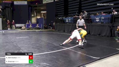 174 lbs Consi Of 4 - Andrew Berreyesa, Cornell vs Austin Brenner, North Dakota St