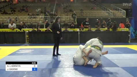 ADAM JOHN LAMBERT-GORWYN vs JEFFREY GASPAR 2024 Pan Jiu Jitsu IBJJF Championship