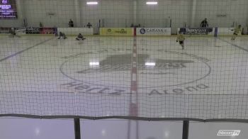 Replay: Bears vs Wolverines | Jun 18 @ 7 PM