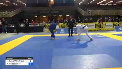 MAURÍCIO FALETA FERNANDES vs KEVIN WHEELER 2020 World Master IBJJF Jiu-Jitsu Championship