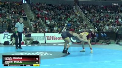 132 lbs Semifinal - Hayden DeMarco, Chesterton vs Jackson Bradley, Cowan