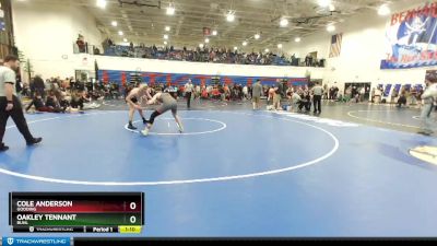 170 lbs 3rd Place Match - Oakley Tennant, Buhl vs Cole Anderson, Gooding