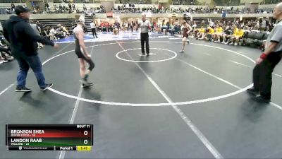 106 lbs Finals (8 Team) - Landon Raab, Willard vs Bronson Shea, Dover Eyota