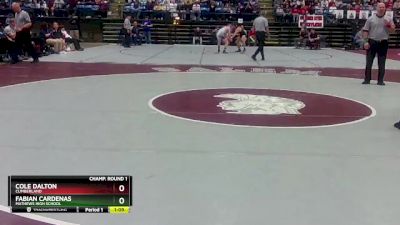 1 - 157 lbs Semifinal - Fabian Cardenas, Mathews High School vs Cole Dalton, Cumberland