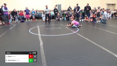 65 lbs Rr Rnd 1 - Jackson Bish, Ragin Raisins Catawba K-4 vs Cael Dennison, Phoenix NOS K-4