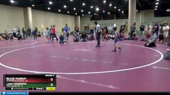 55 lbs Round 5 (6 Team) - Blaze Murray, Alabama Elite Gold vs Liam Howarth, Team Palmetto