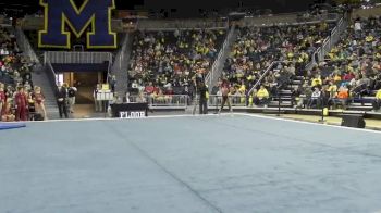 Iowa (Milan Ivory) - 9.85