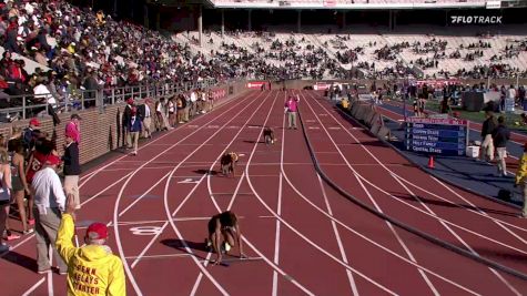 Women's Sprint Medley Relay College, Finals 1