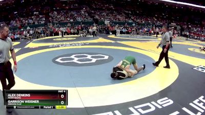 D1-120 lbs Semifinal - Garrison Weisner, Oregon Clay vs Alex Denkins, Perrysburg