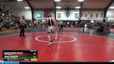 132 lbs Round 4 - Gavin Menke-Bailey, New London vs Dane Mangler, Dubuque Hempstead