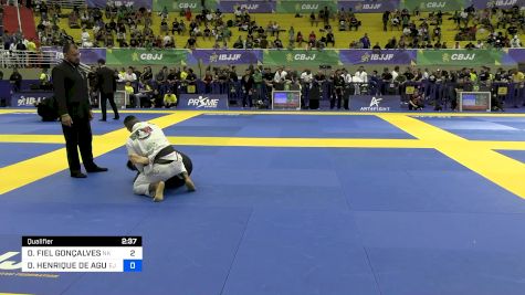 DIEGO FIEL GONÇALVES vs DAVID HENRIQUE DE AGUIAR 2024 Brasileiro Jiu-Jitsu IBJJF