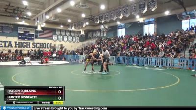 113 lbs Semifinal - Hayden D`Ablaing, Temecula Valley vs Hunter Besneatte, Chaparral