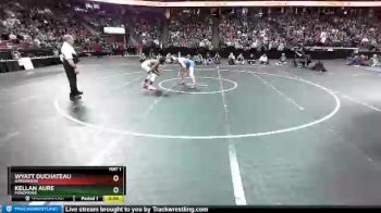 D1-132 lbs 1st Place Match - Wyatt Duchateau, Arrowhead vs Kellan Aure, Menomonie