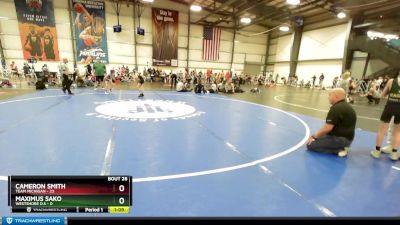 64 lbs Rd# 10- 4:00pm Saturday Final Pool - Cameron Smith, Team Michigan vs Maximus Sako, Westshore D.S