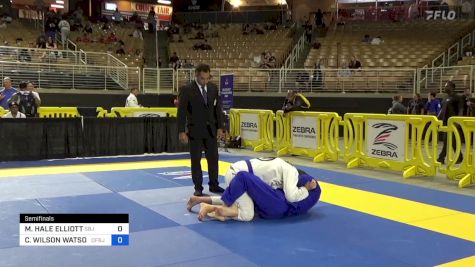MICHAEL HALE ELLIOTT vs CHARLES WILSON WATSON III 2024 Pan Jiu Jitsu IBJJF Championship