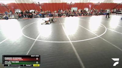 59 lbs Quarterfinal - Parker McKenna, Team Nazar Training Center vs Myles Tischer, Wisconsin