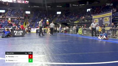 87 lbs Semifinal - Arav Pandey, Cumberland Valley vs Grayson Cisney, Palmyra