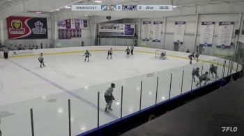 Replay: Home - 2024 Hitmen vs WBS Knights | Mar 2 @ 3 PM