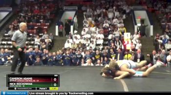 165 lbs Finals (8 Team) - Cameron Adams, Detroit Catholic Central HS vs Nick Rochowiak, Hartland HS