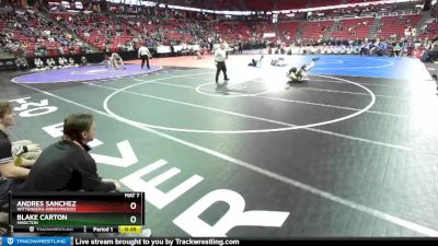 D3-138 lbs Cons. Round 1 - Andres Sanchez, Wittenberg-Birnamwood vs Blake Carton, Shiocton