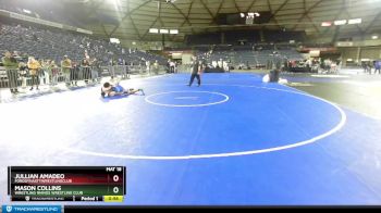 165 lbs 2nd Place Match - Mason Collins, Wrestling Rhinos Wrestling Club vs Jullian Amadeo, FordDynastyWrestlingClub