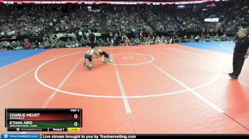 D2-113 lbs 1st Place Match - Charlie Meudt, Dodgeville vs Ethan Aird, Darlington/Bl. Hawk
