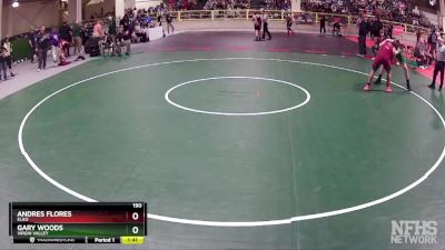 190 lbs Quarterfinal - Andres Flores, Elko vs Gary Woods, Virgin Valley