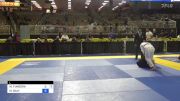 MIA FUNEGRA vs MICHAL BALY 2024 Pan Jiu Jitsu IBJJF Championship