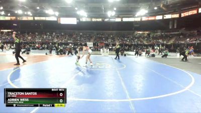 132 lbs Cons. Round 5 - Tracston Santos, Mt. View vs Adrien Wess, Mountain View