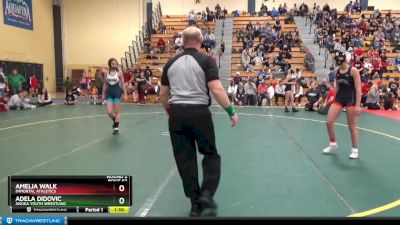 115 lbs Round 2 - Adela Didovic, Anoka Youth Wrestling vs Amelia Walk, Immortal Athletics