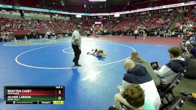 D1-113 lbs Champ. Round 1 - Oliver Larson, River Falls vs Brayten Casey, Menomonie