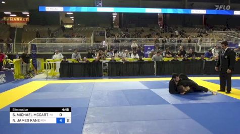 STEVEN MICHAEL MCCARTHY vs NICHOLAS JAMES KANE 2024 Pan Jiu Jitsu IBJJF Championship