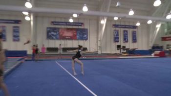 Gator freshman Silvia Colussi-Pelaez training for NCAA Debut