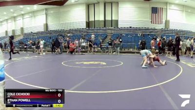 100 lbs Cons. Round 4 - Cole Cichocki, MI vs Ethan Powell, OH