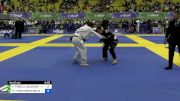 FABRÍCIO TONELLI GUIDARA vs HABNER HYAN MONTEIRO DA SILVA 2024 Brasileiro Jiu-Jitsu IBJJF