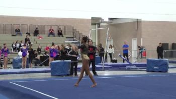 Texas Dreams (Jade Buford)