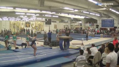 Simone Banen - Vault, North Stars - 2018 Parkettes Invitational