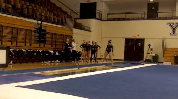 Yale (Ariella Anderson) - 9.225