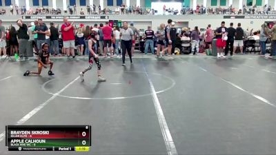 52 lbs Round 1 (6 Team) - Brayden Skroski, Killer Elite vs Apple Calhoun, Black Hive WC